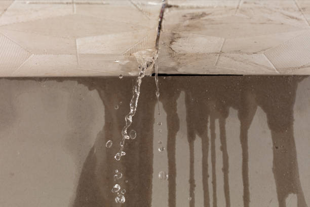 Professional Structural Drying technician working in Leonia, NJ